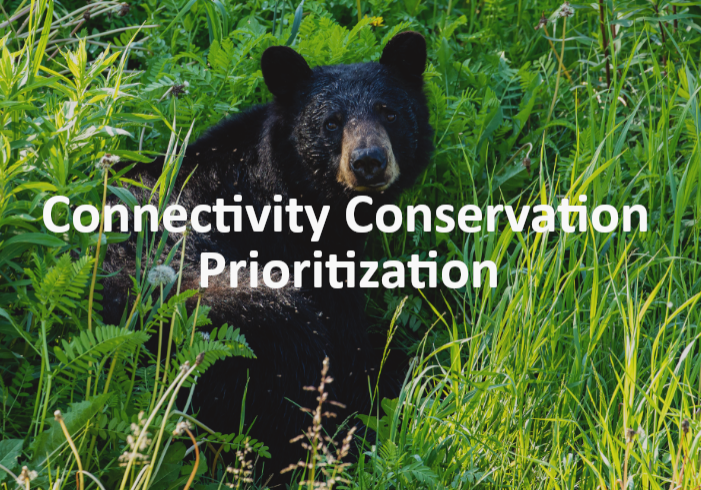 connectivity conservation prioritization